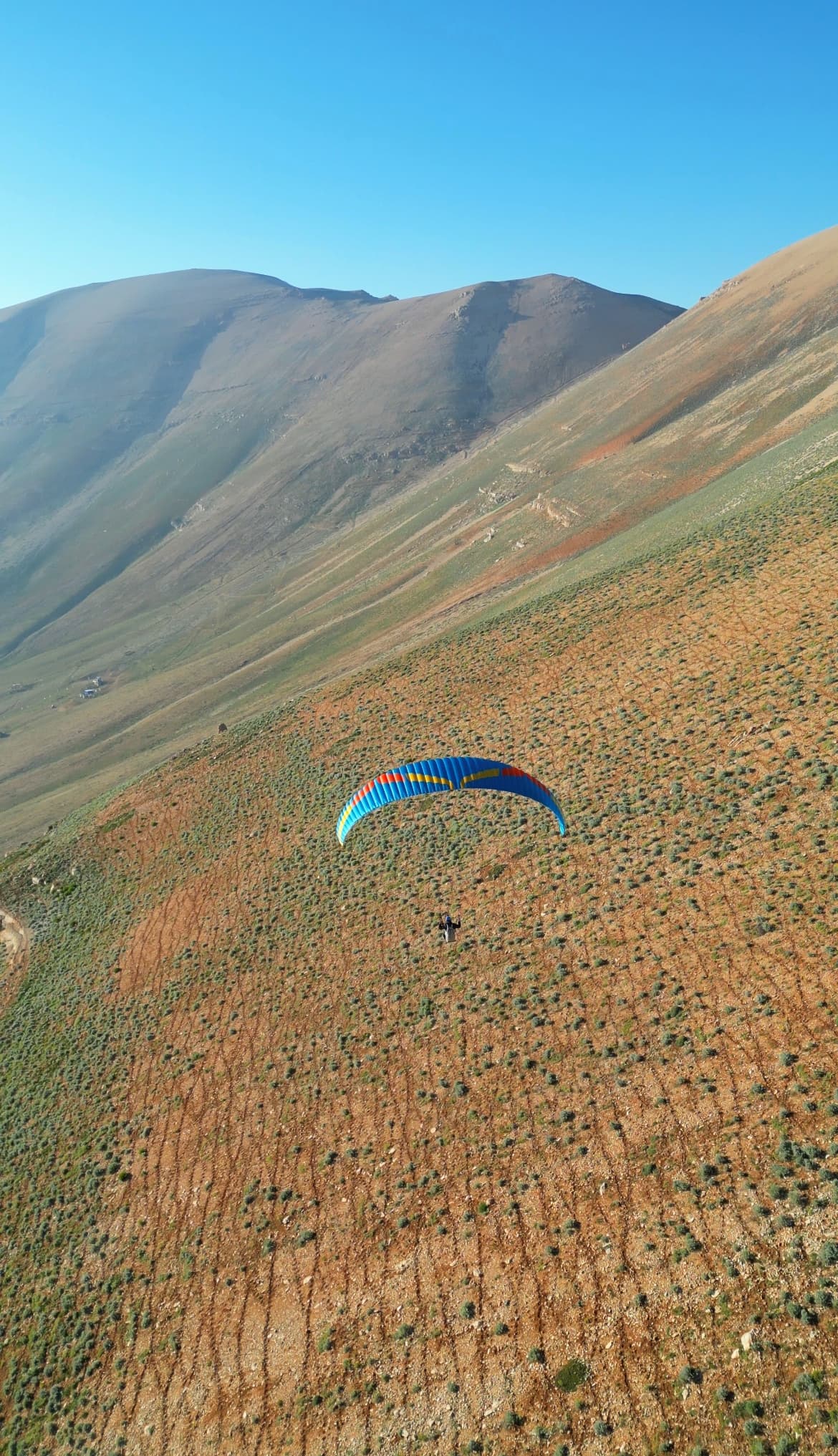 Paraglider with blue and orange wing over arid Cedars mountain peaks, Lebanon